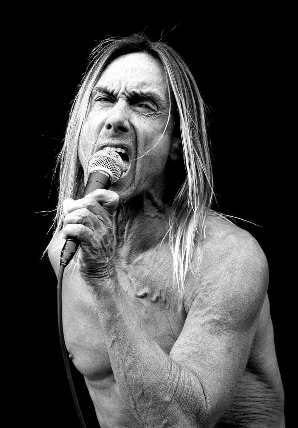 Iggy Pop